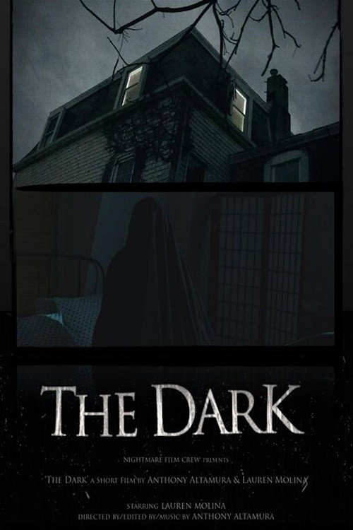 Movie poster for The Dark (2020)