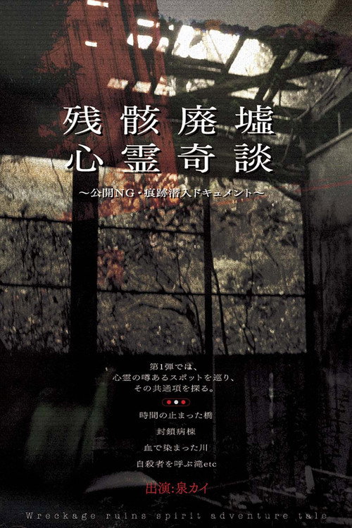 Movie poster for Remnants: Ruins of Spirit Tales - Unreleased Footage & Infiltration Document (2009)