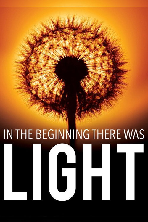 Movie poster for In the Beginning There Was Light (2010)