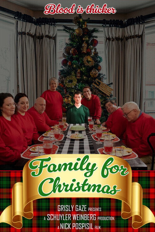Movie poster for Family for Christmas (2024)