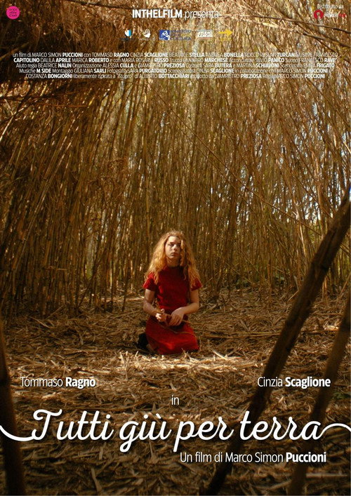 Movie poster for Tutti giù per terra (2025)