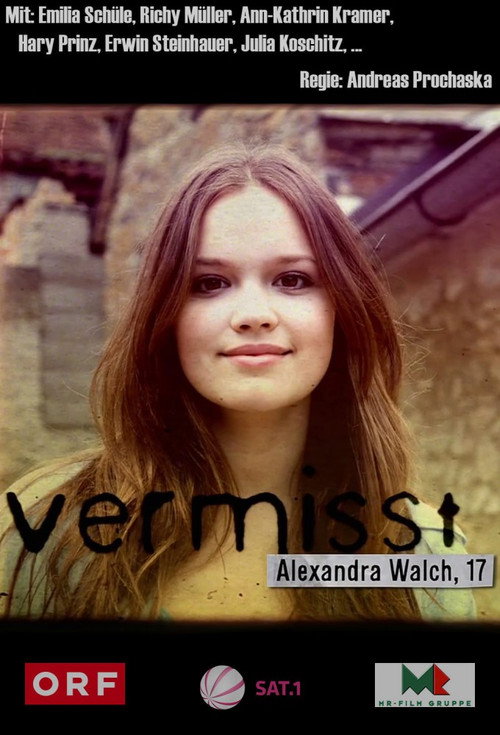 Movie poster for Vanished (2011)