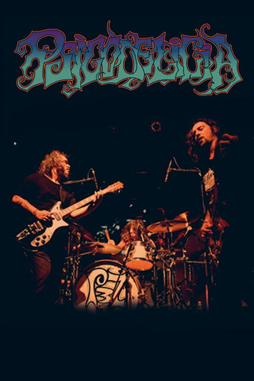 Movie poster for Psicodelicia (2013)