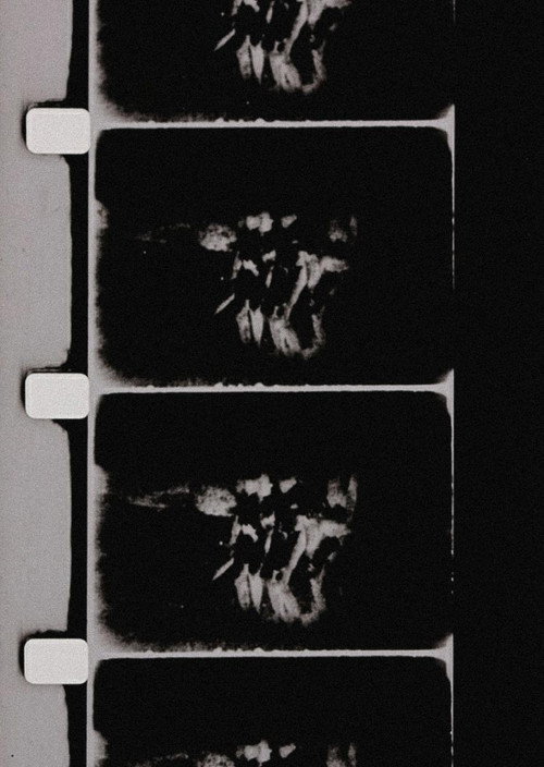 Movie poster for Studies in Image (de) Generation (1975)