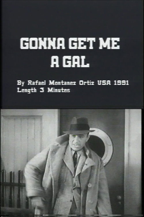 Movie poster for Gonna Get Me a Gal (1991)