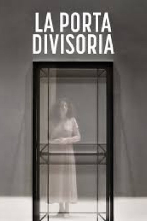 Movie poster for La porta divisoria (2024)