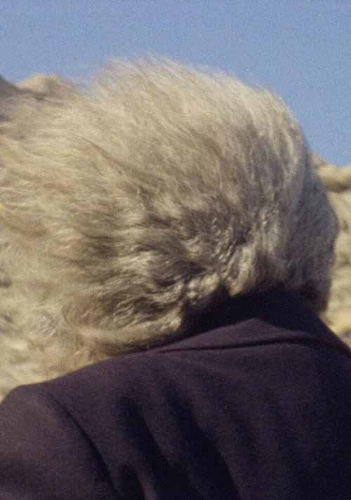 Movie poster for La Tramuntana (2020)