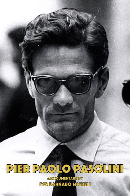 Movie poster for Pier Paolo Pasolini (1995)