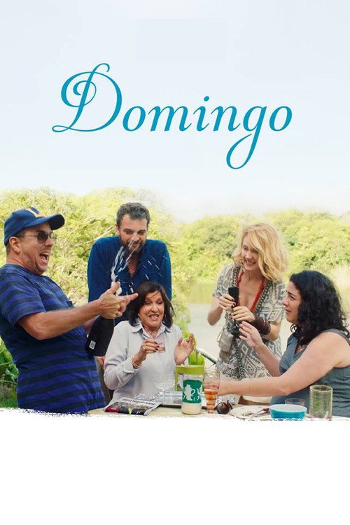 Movie poster for Domingo (2018)