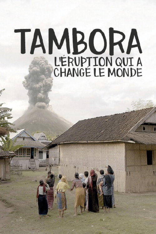 Movie poster for The Volcano That Changed The World (2017)