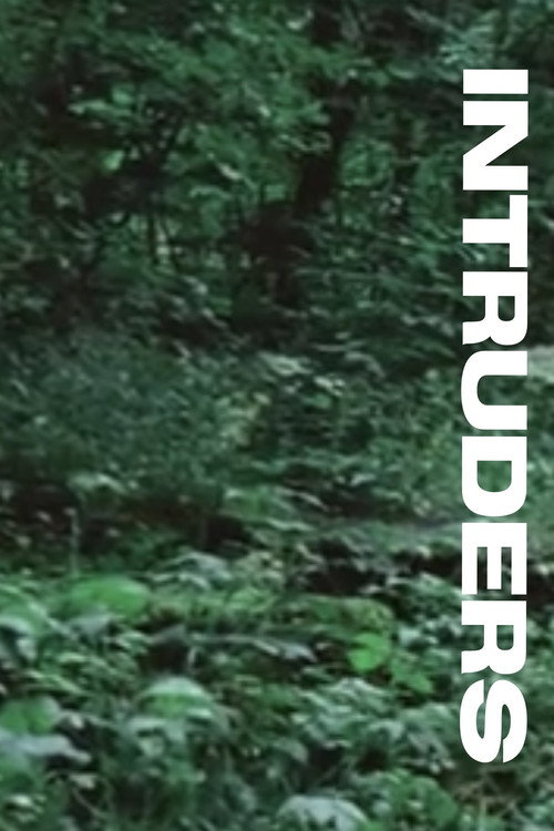 Movie poster for Intruders (2016)