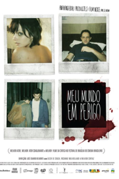 Movie poster for Meu Mundo em Perigo (2007)