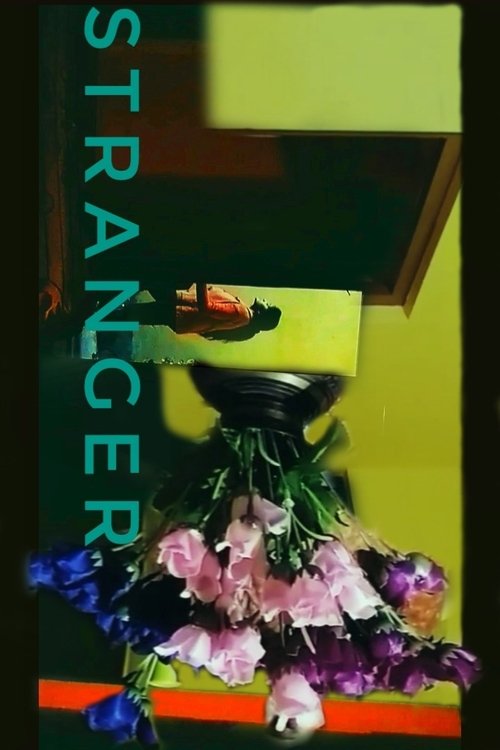 Movie poster for Stranger (2021)