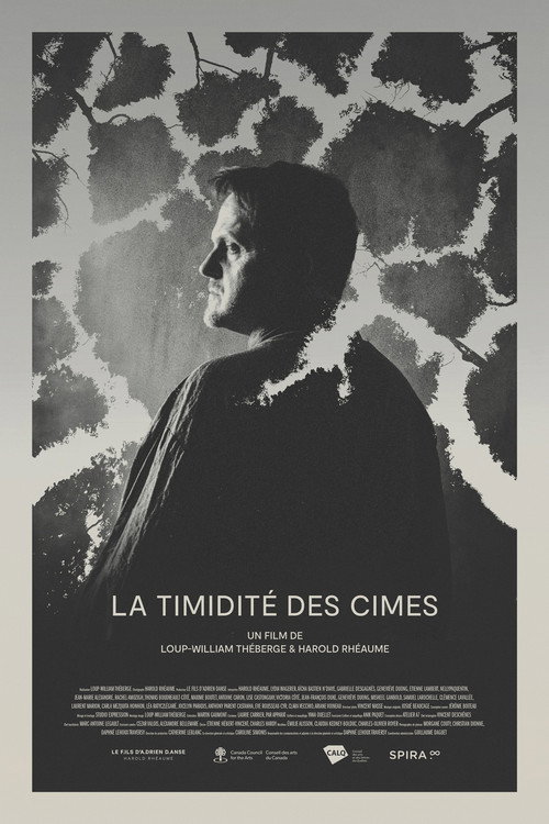 Movie poster for La Timidité des Cimes