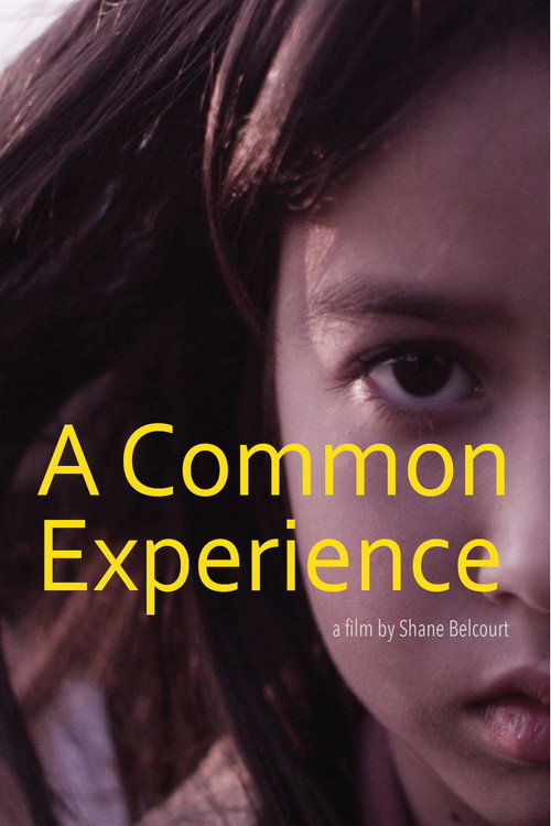 Movie poster for A Common Experience (2013)