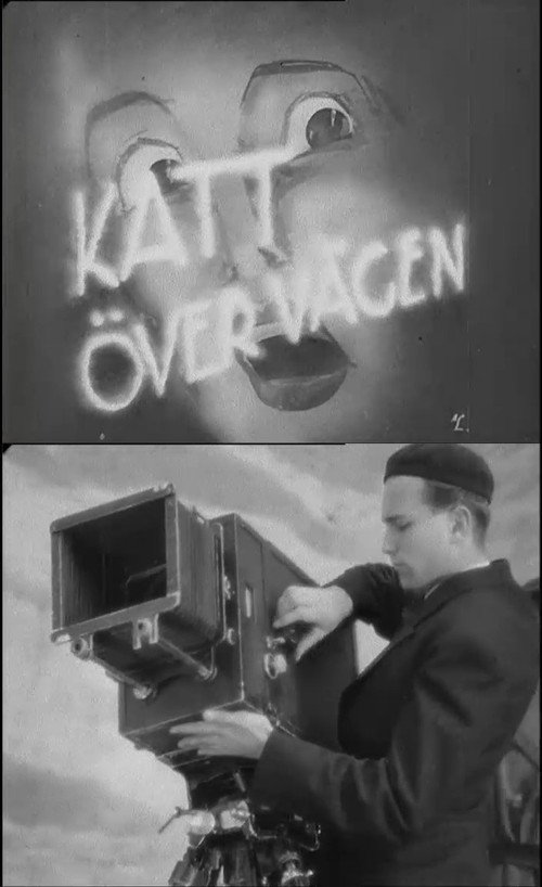 Movie poster for Cat Across the Road (1937)