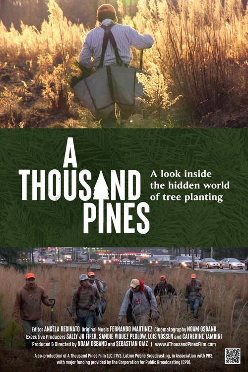 Movie poster for A Thousand Pines (2023)