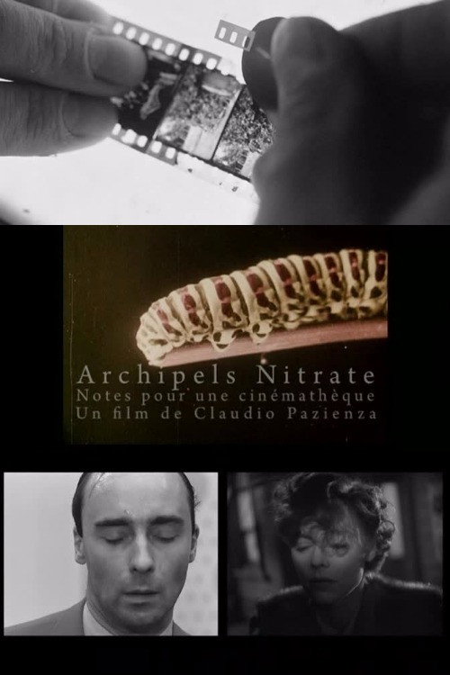Movie poster for Archipels nitrate (2009)