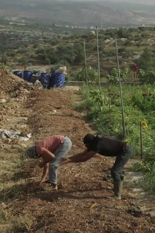 Movie poster for Untold Revolution: Food Sovereignty in Palestine (2021)