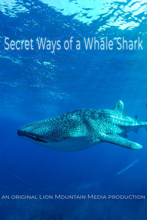 Movie poster for Le long voyage d'un requin-baleine (2024)