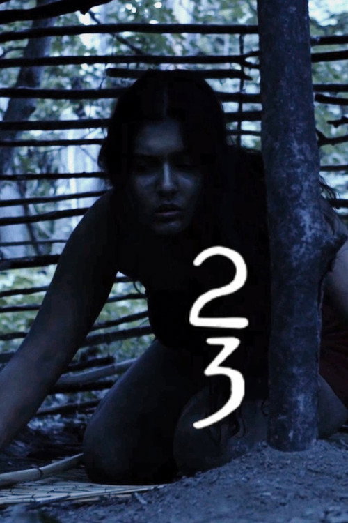 Movie poster for 23 (2024)