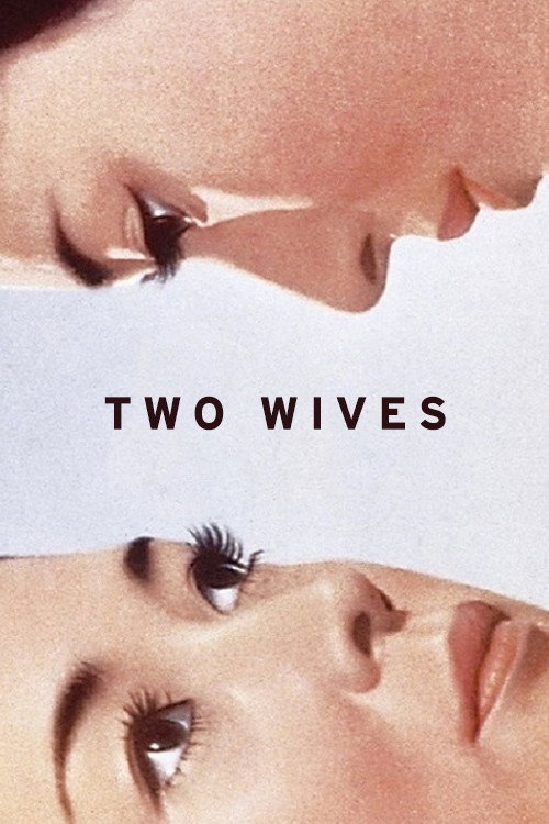 Movie poster for Two Wives (1967)