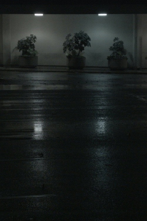 Movie poster for Night Swells (2015)