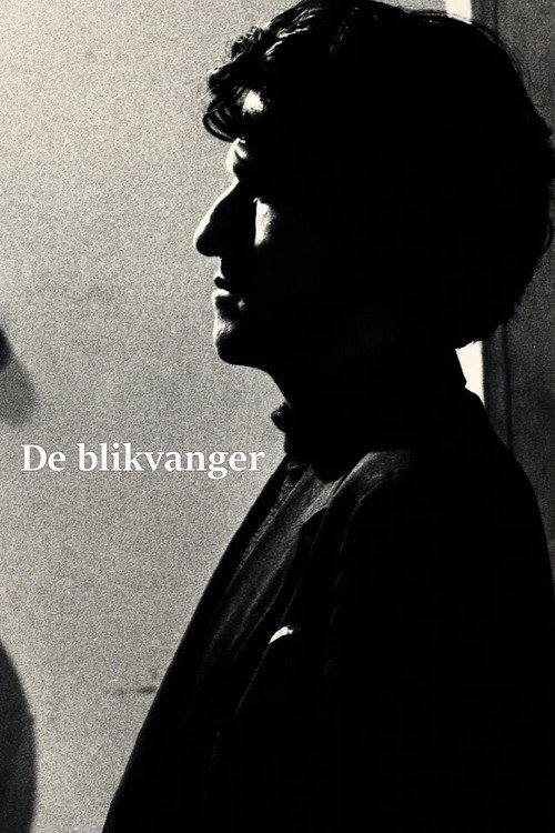 Movie poster for De blikvanger (1989)