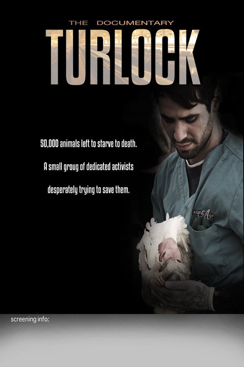 Movie poster for Turlock (2013)