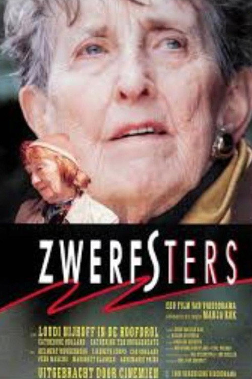 Movie poster for Zwerfsters (1989)