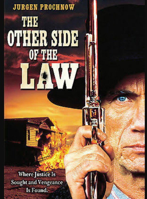 Movie poster for The Other Side of the Law (1994)