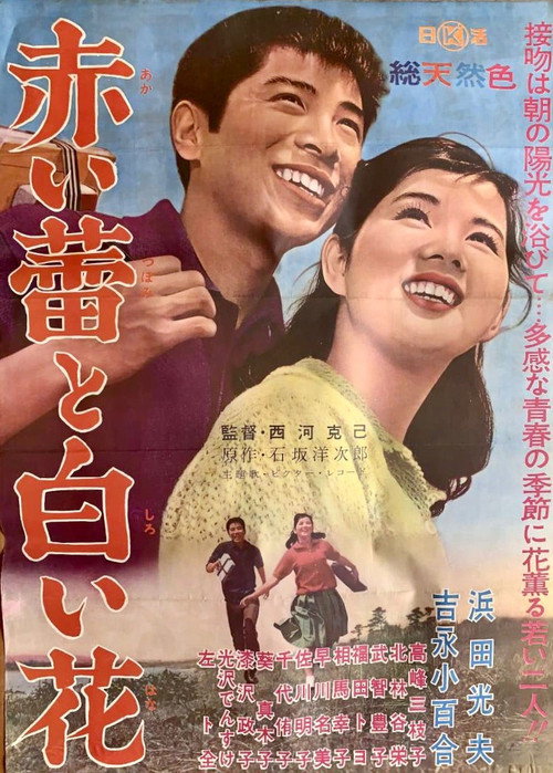 Movie poster for Red Bud and White Flower (1962)