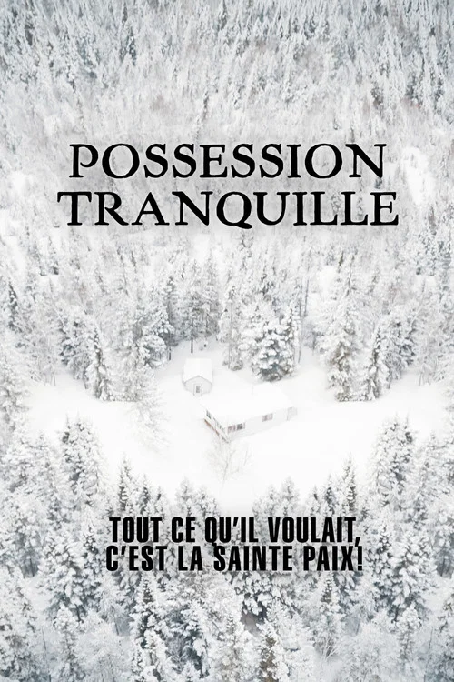 Movie poster for Silent Possession