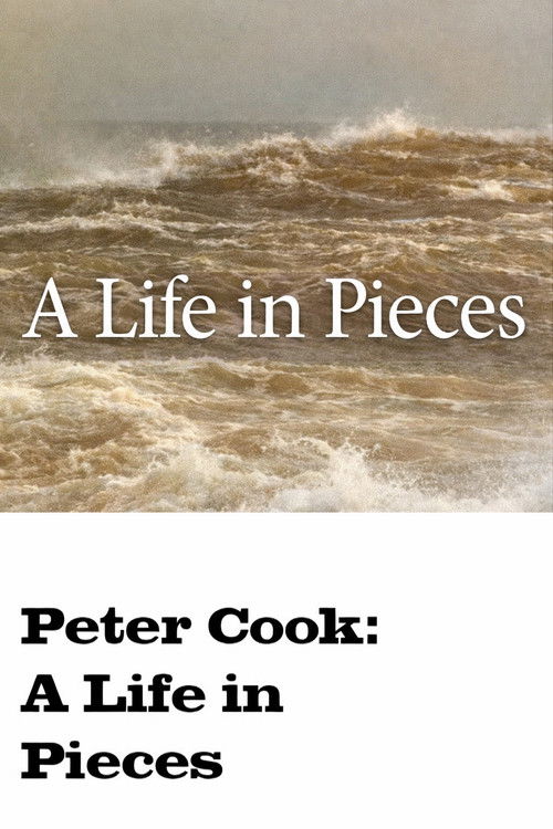 A Life in Pieces poster