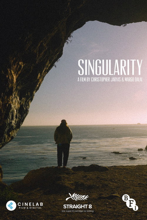 Movie poster for Singularity (2022)