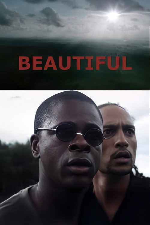 Movie poster for Beautiful (2011)