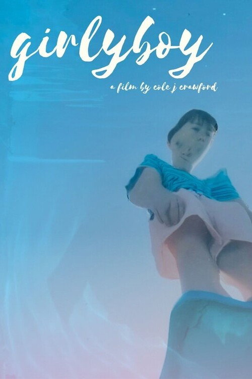 Movie poster for Girly Boy (2024)
