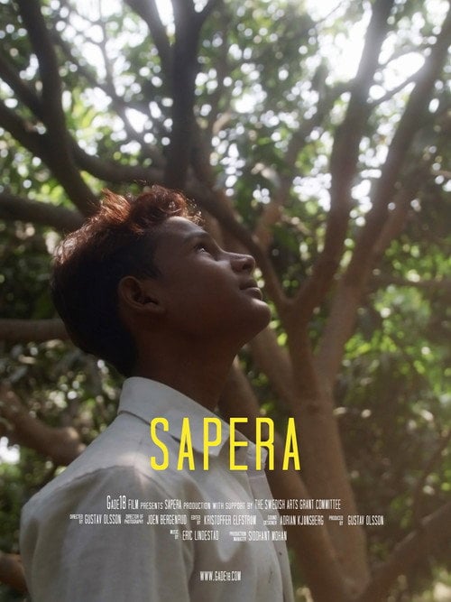 Movie poster for Sapera (2019)