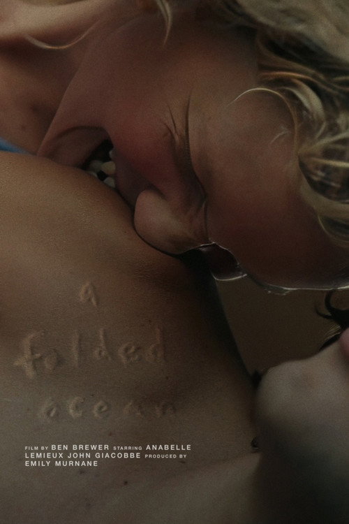 Movie poster for A Folded Ocean (2023)
