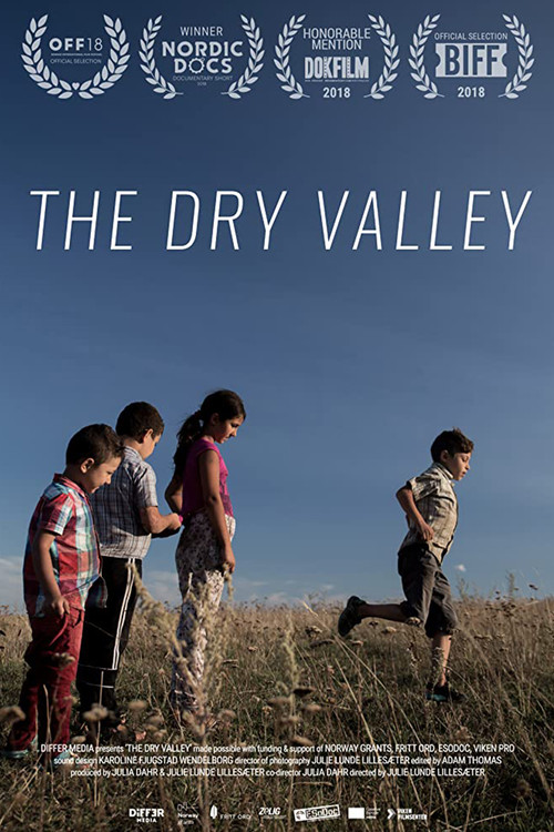 Movie poster for The Dry Valley (2018)