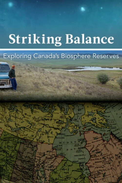 Series poster for Striking Balance (2016)