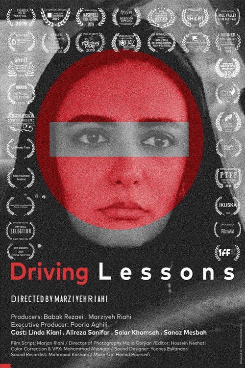 Movie poster for Driving Lessons (2019)