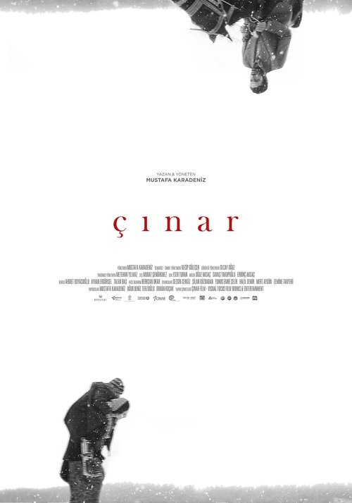 Movie poster for Plane Tree (2018)