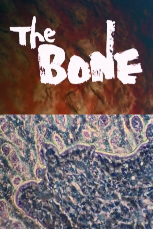Movie poster for THE BONE (1982)