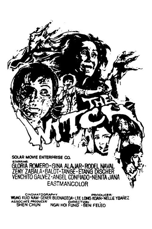 Movie poster for The Witch (1975)