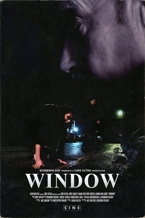 Movie poster for Window (2019)