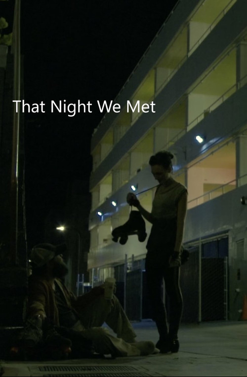 Movie poster for That Night we Met