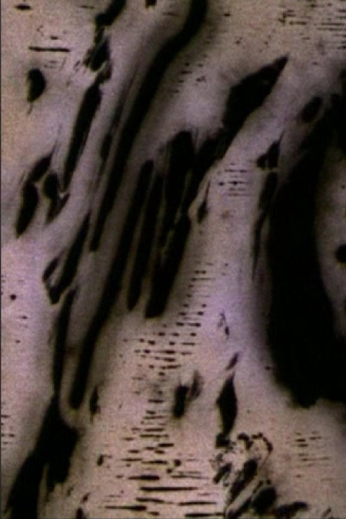 Movie poster for Motion of Light (2004)