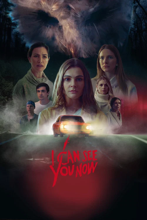 Movie poster for I Can See You Now (2023)