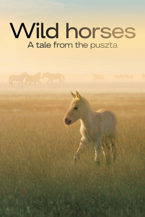 Movie poster for Wild Horses - A Tale From The Puszta (2021)